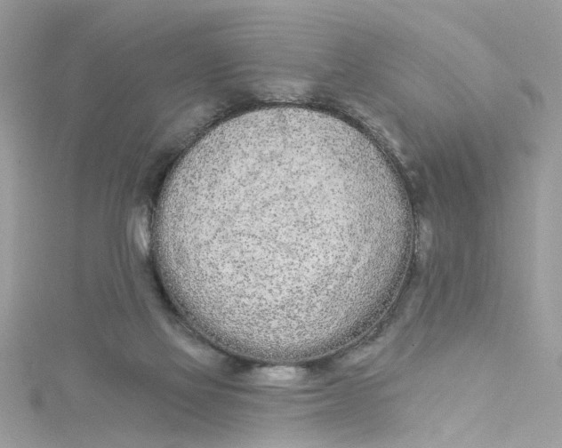 X0000115050069200911161556