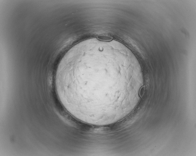 X0000115050072200911161556