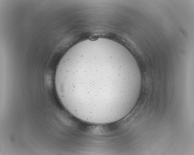 X0000115050074200911161556