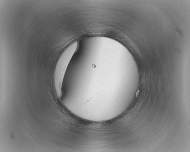 X0000115050076200911161556