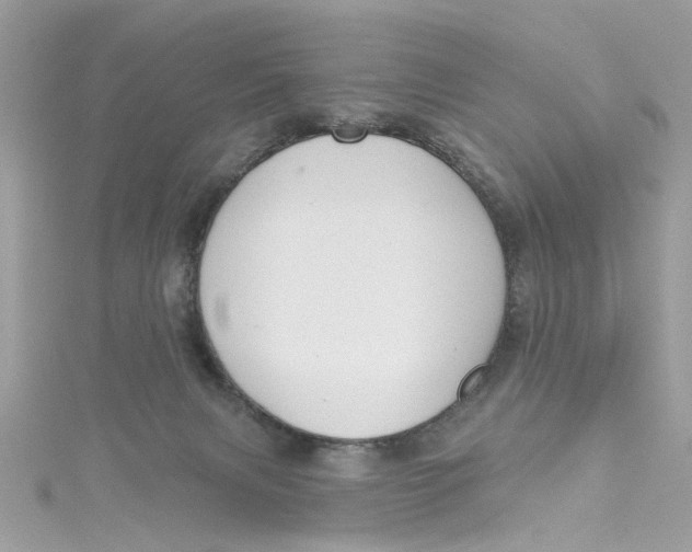 X0000115050079200911161556