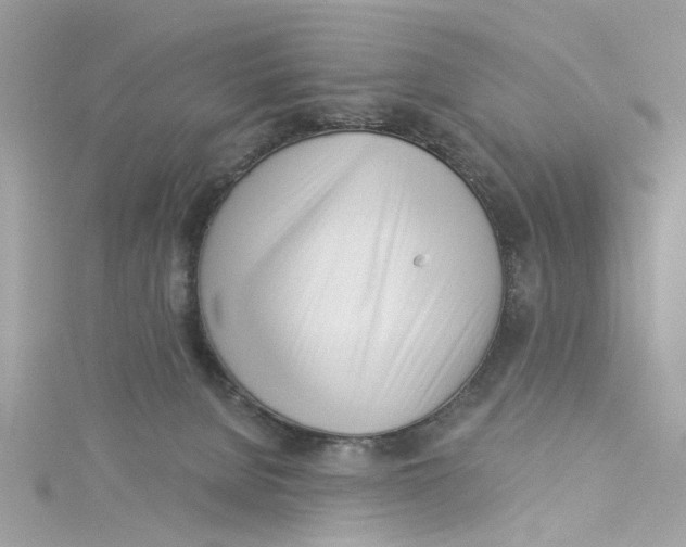 X0000115050080200911161556