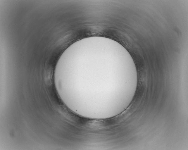 X0000115050082200911161556