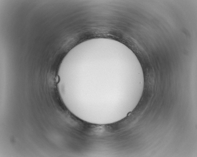 X0000115050083200911161556