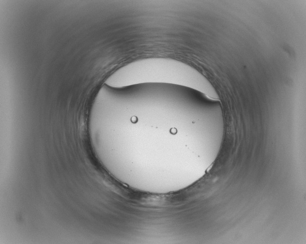 X0000115050084200911161556