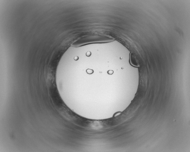 X0000115050091200911161556