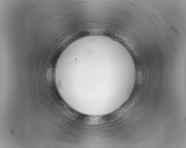 X0000115050093200911161556