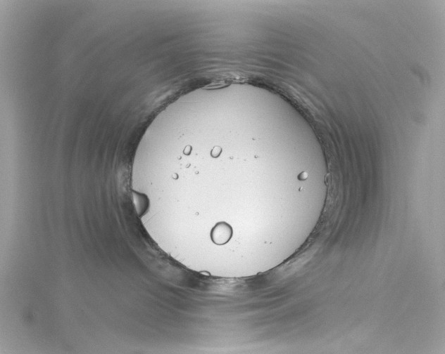 X0000115050096200911161556