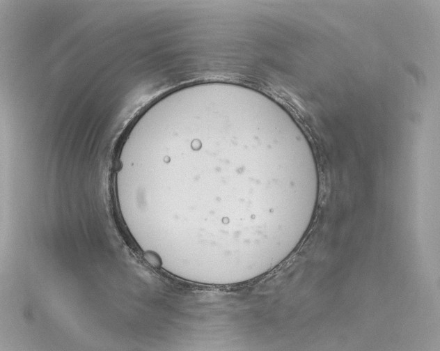 X0000115050098200911161556