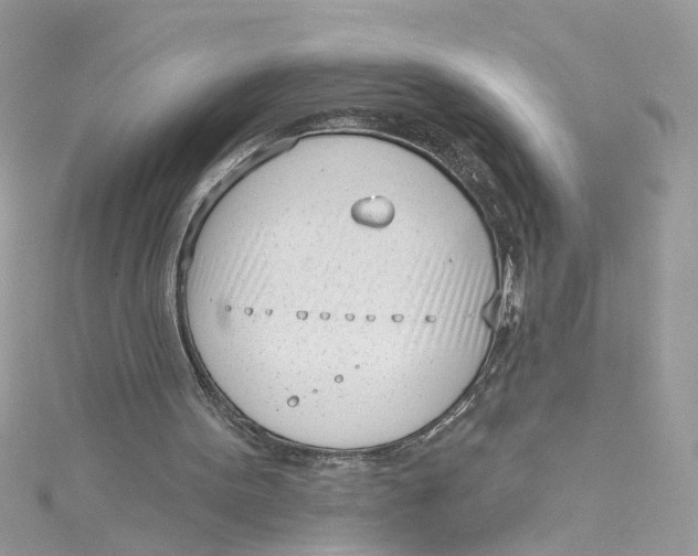 X0000115050099200911161556