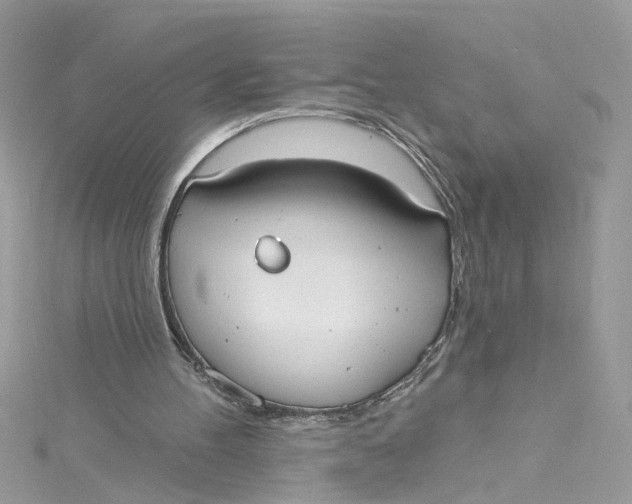 X0000115050100200911161556