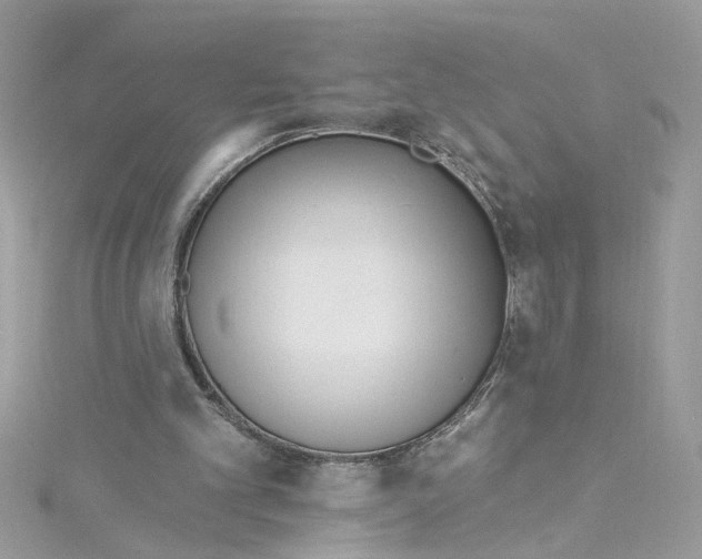 X0000115050101200911161556