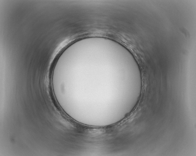 X0000115050102200911161556