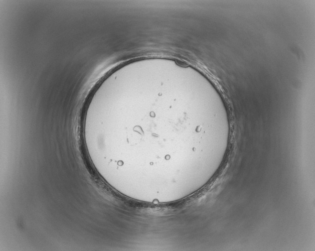 X0000115050103200911161556