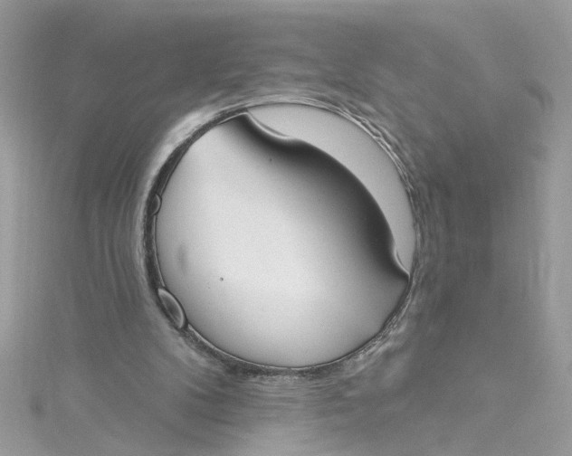 X0000115050104200911161556