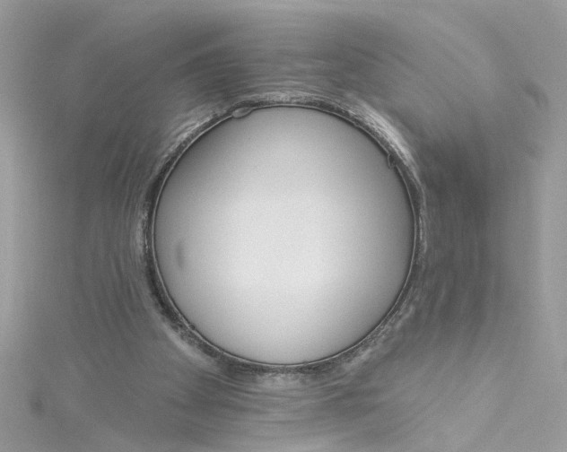 X0000115050105200911161556