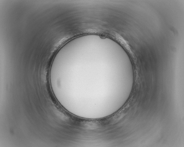 X0000115050106200911161556