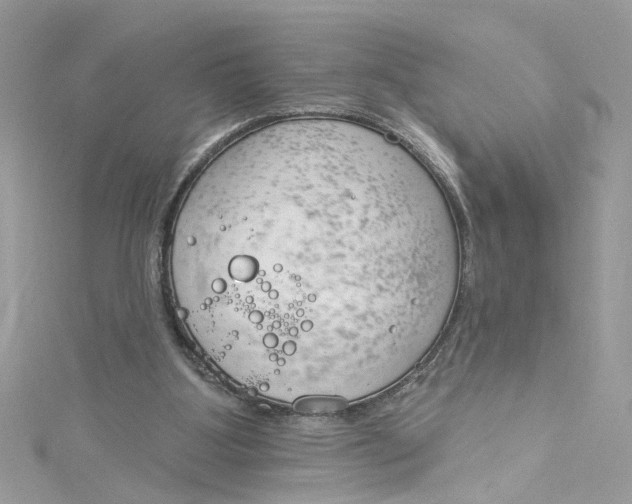 X0000115050107200911161556