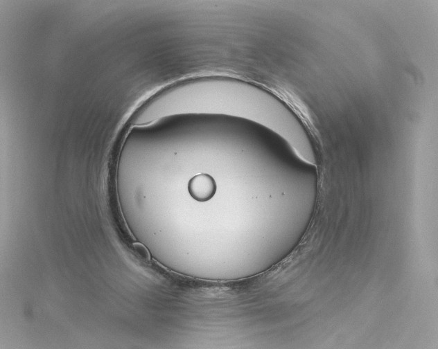 X0000115050108200911161556