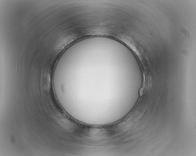 X0000115050109200911161556