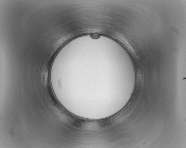 X0000115050110200911161556