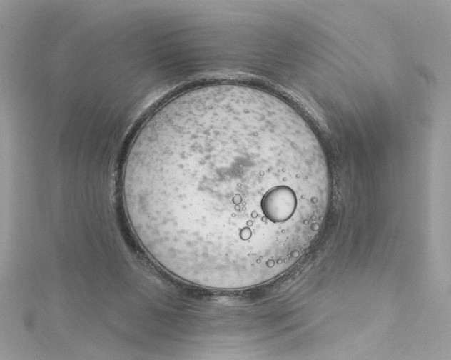 X0000115050111200911161556