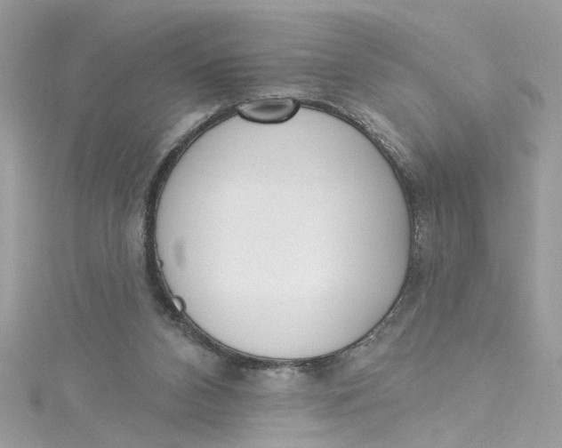 X0000115050112200911161556