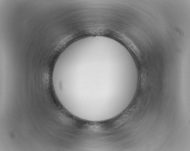 X0000115050113200911161556