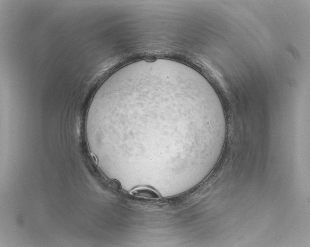 X0000115050115200911161556