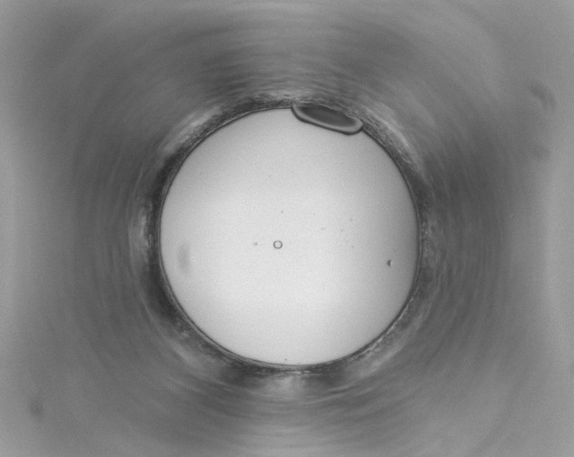 X0000115050116200911161556