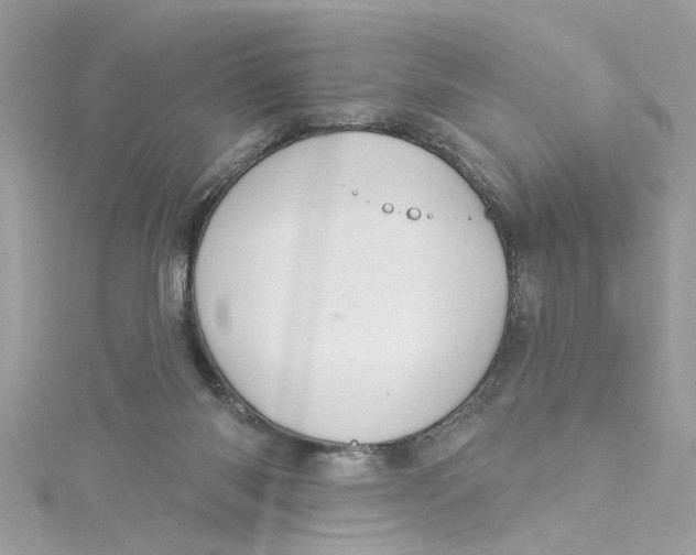 X0000115050118200911161556