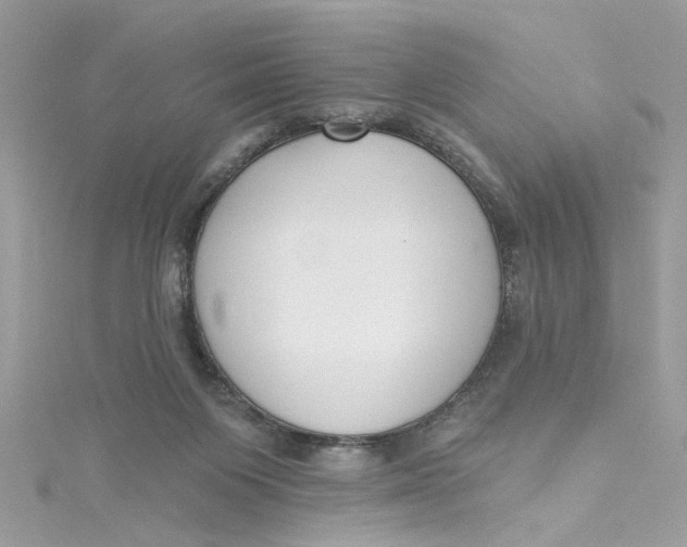 X0000115050119200911161555