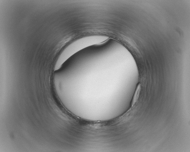 X0000115050120200911161555