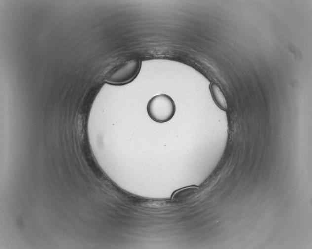 X0000115050121200911161555