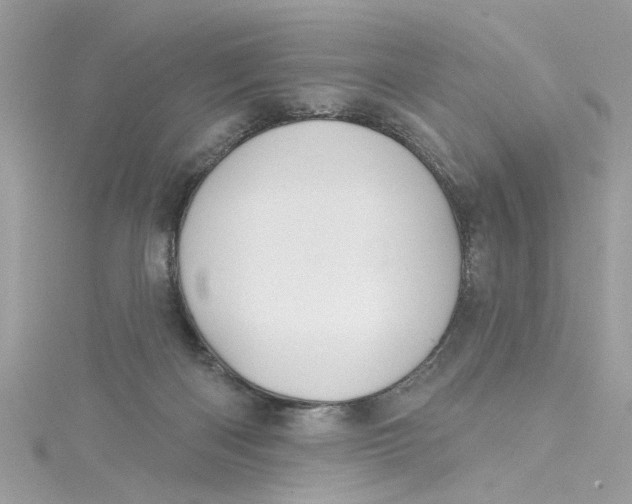 X0000115050122200911161555