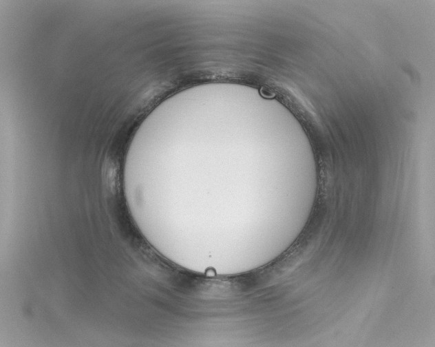 X0000115050123200911161555