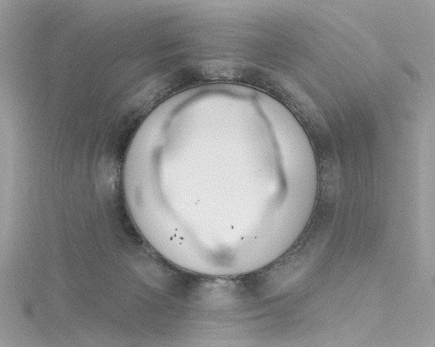 X0000115050125200911161555