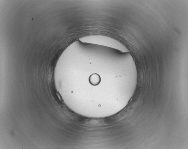 X0000115050129200911161555