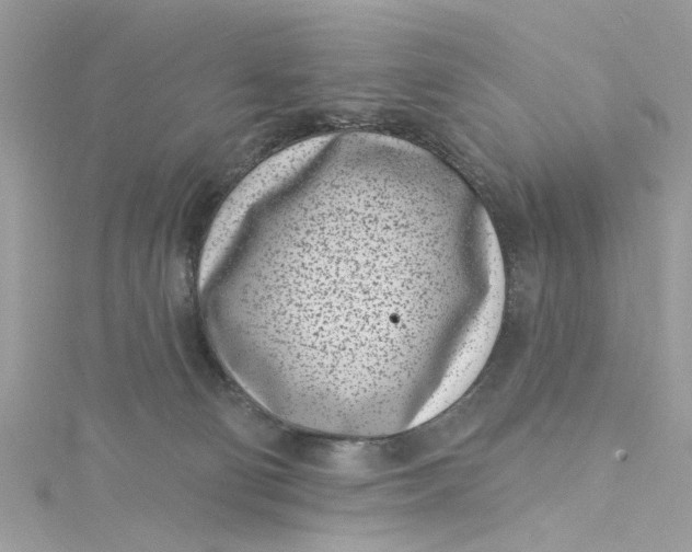 X0000115050130200911161555