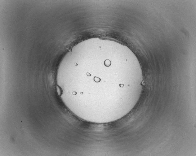 X0000115050131200911161555