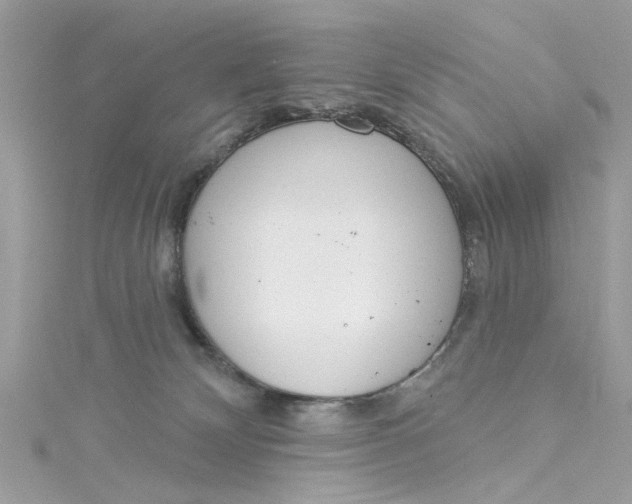 X0000115050132200911161555