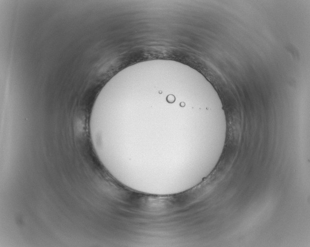 X0000115050134200911161555