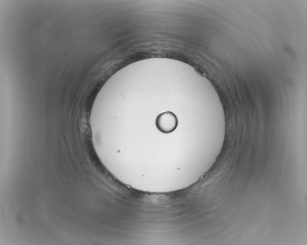 X0000115050137200911161555