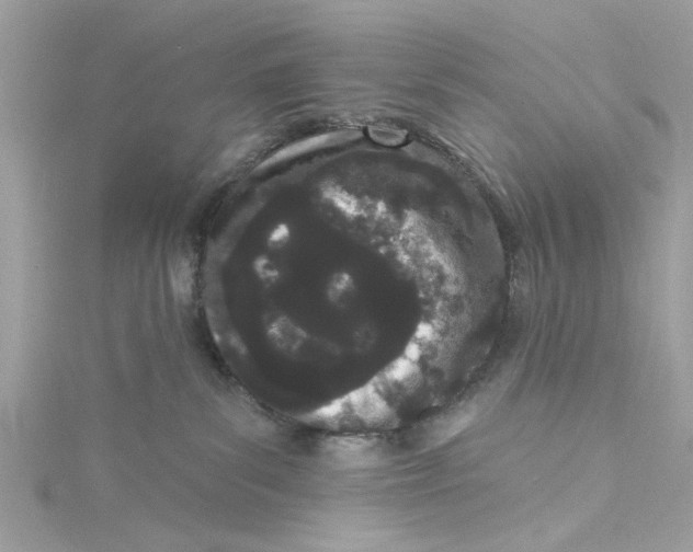 X0000115050139200911161555