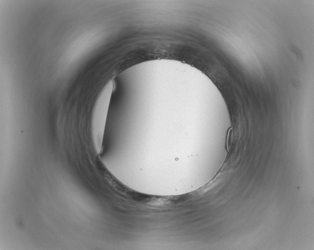 X0000115050140200911161555