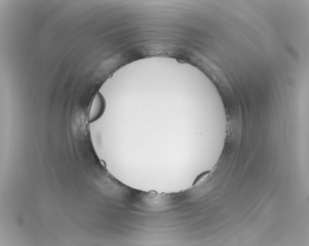 X0000115050142200911161555