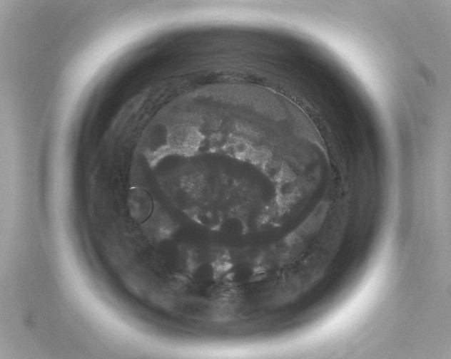 X0000115050143200911161555