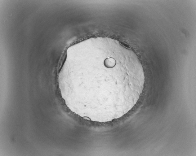 X0000115050144200911161555