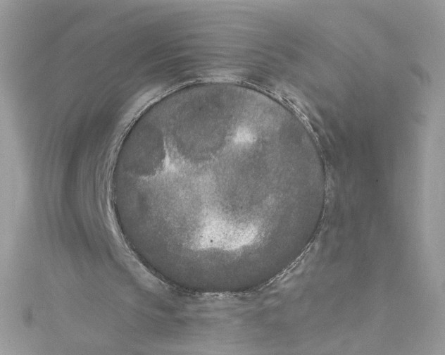 X0000115050145200911161555