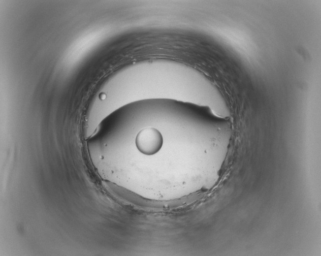 X0000115050146200911161555